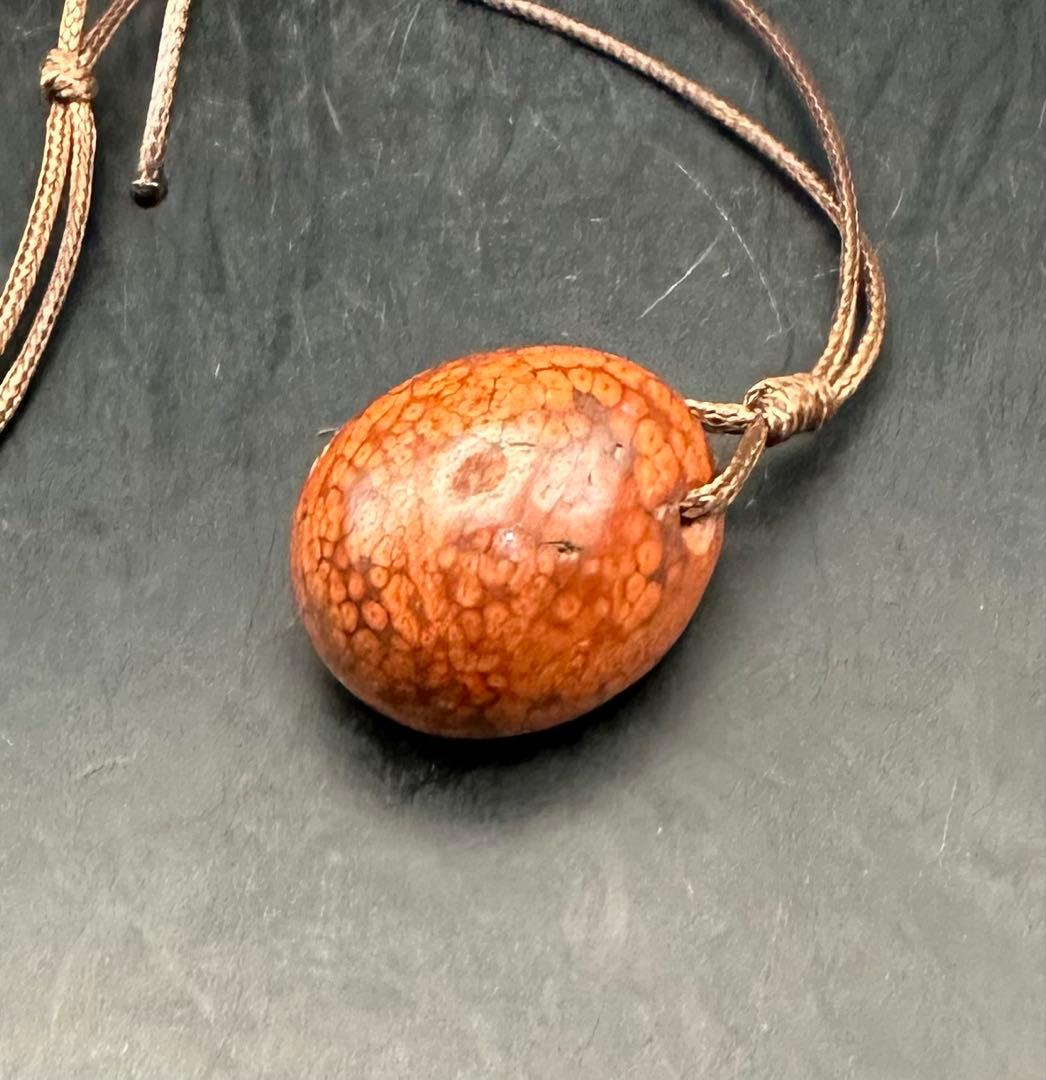 2026.2.5龍血魂珠　ダイナソーボーン（恐竜化石）