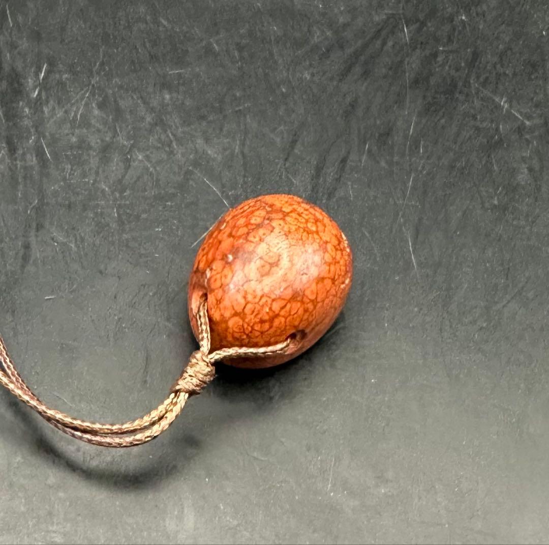 2026.2.5龍血魂珠　ダイナソーボーン（恐竜化石）