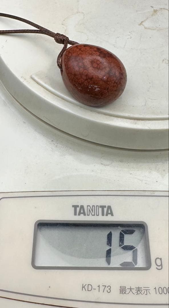 2026.2.5龍血魂珠　ダイナソーボーン（恐竜化石）