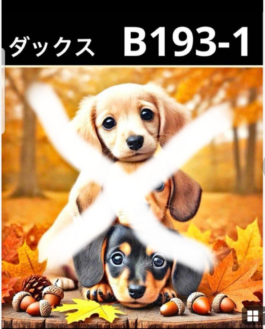 オーダー受付　タワーわんこ①　ご予約ページ　8/21