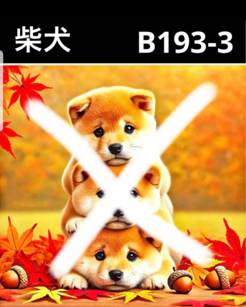 オーダー受付　タワーわんこ①　ご予約ページ　8/21