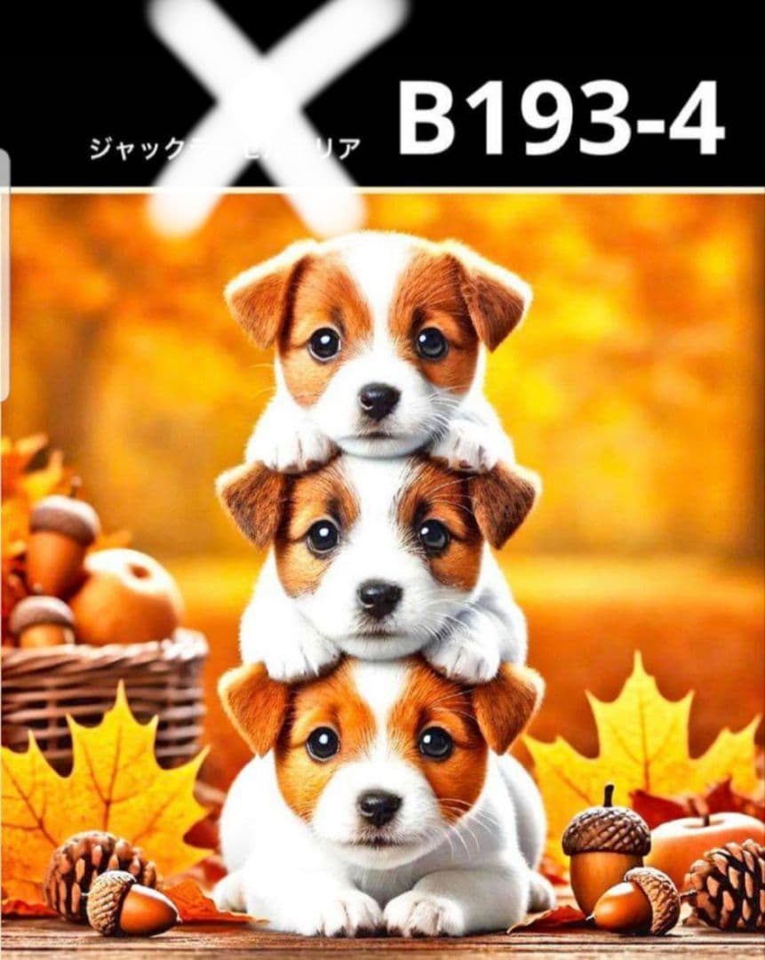 オーダー受付　タワーわんこ①　ご予約ページ　8/21