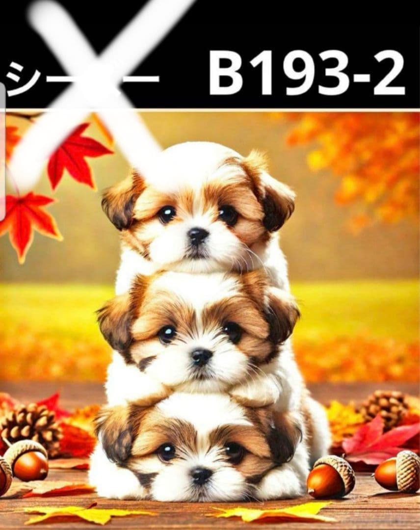 オーダー受付　タワーわんこ①　ご予約ページ　8/21