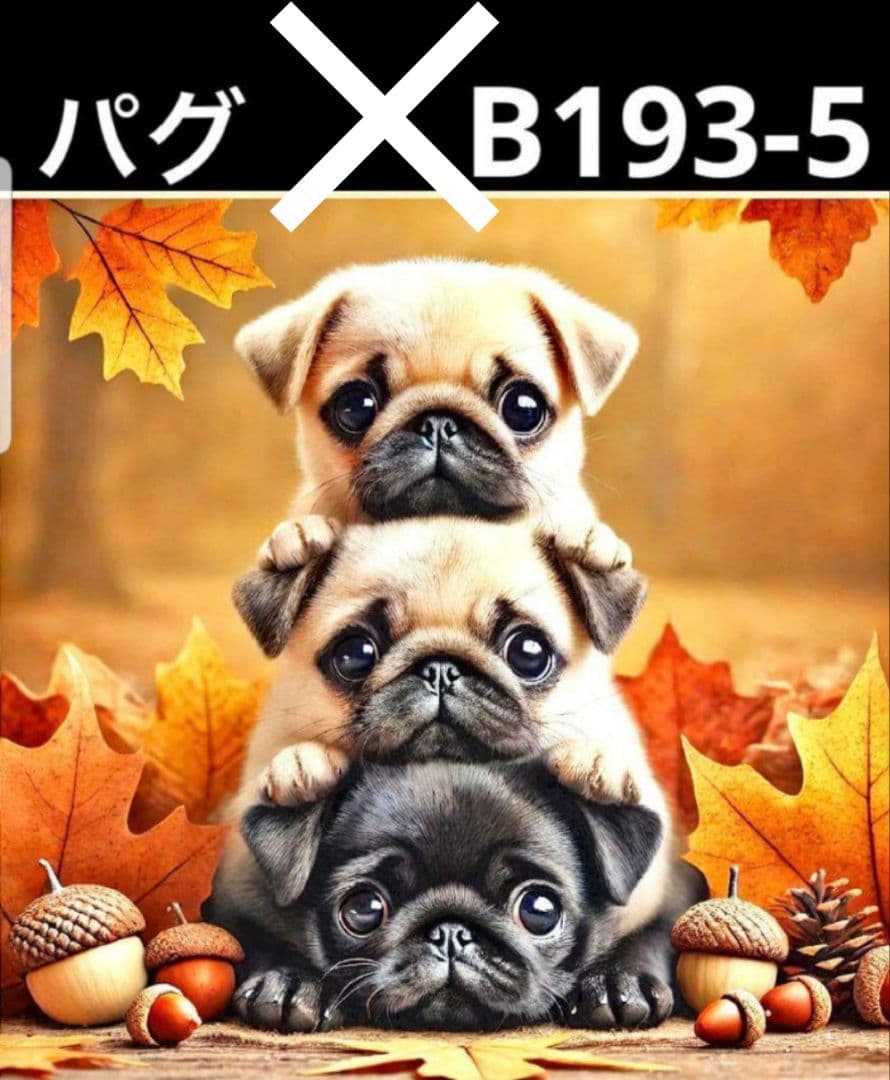 オーダー受付　タワーわんこ①　ご予約ページ　8/21