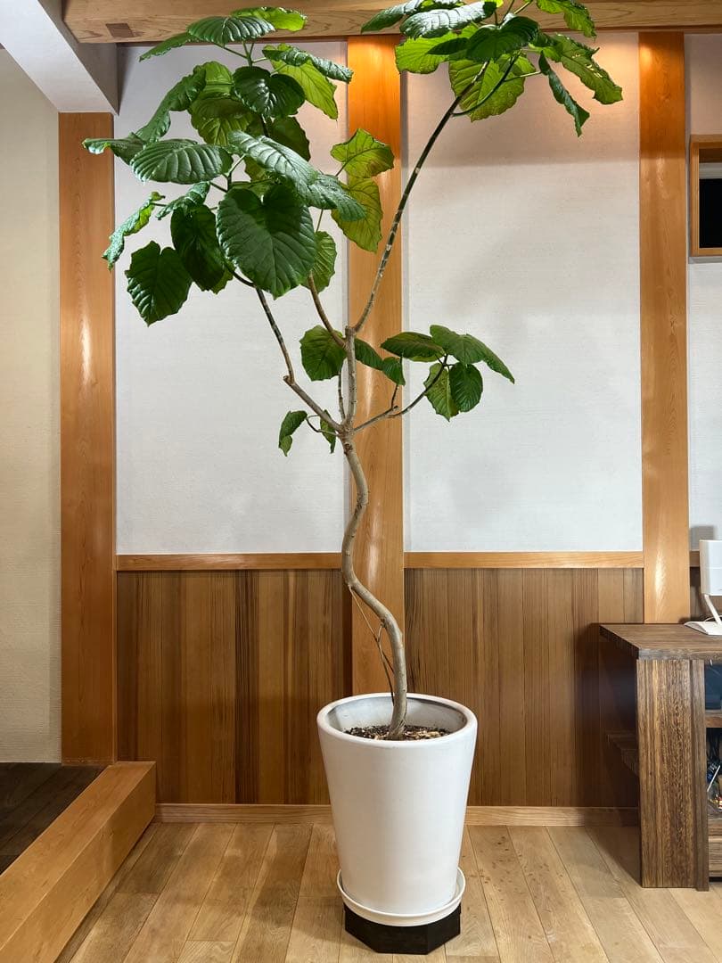 キャスターが見えない花台