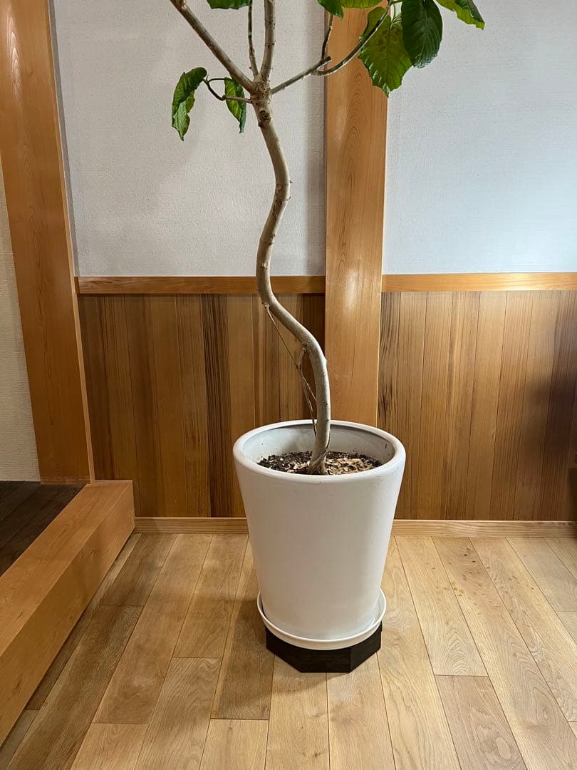 キャスターが見えない花台