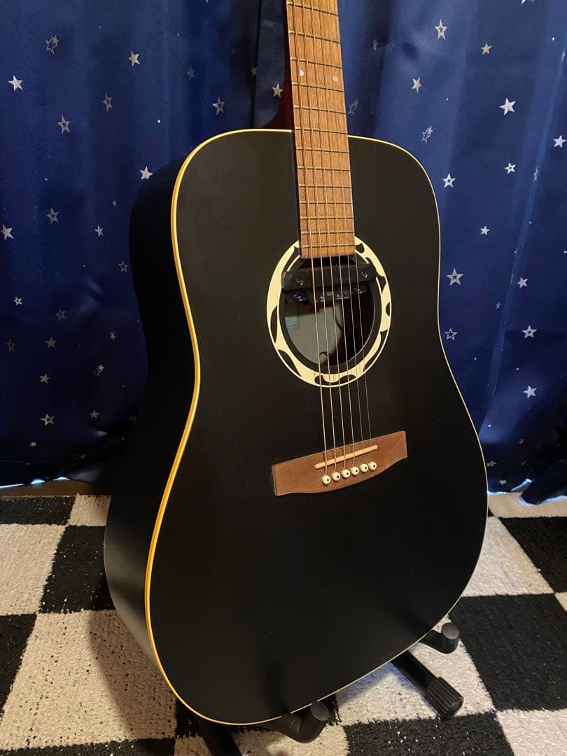 Art & Lutherie Wild Cherry (エレアコ仕様)