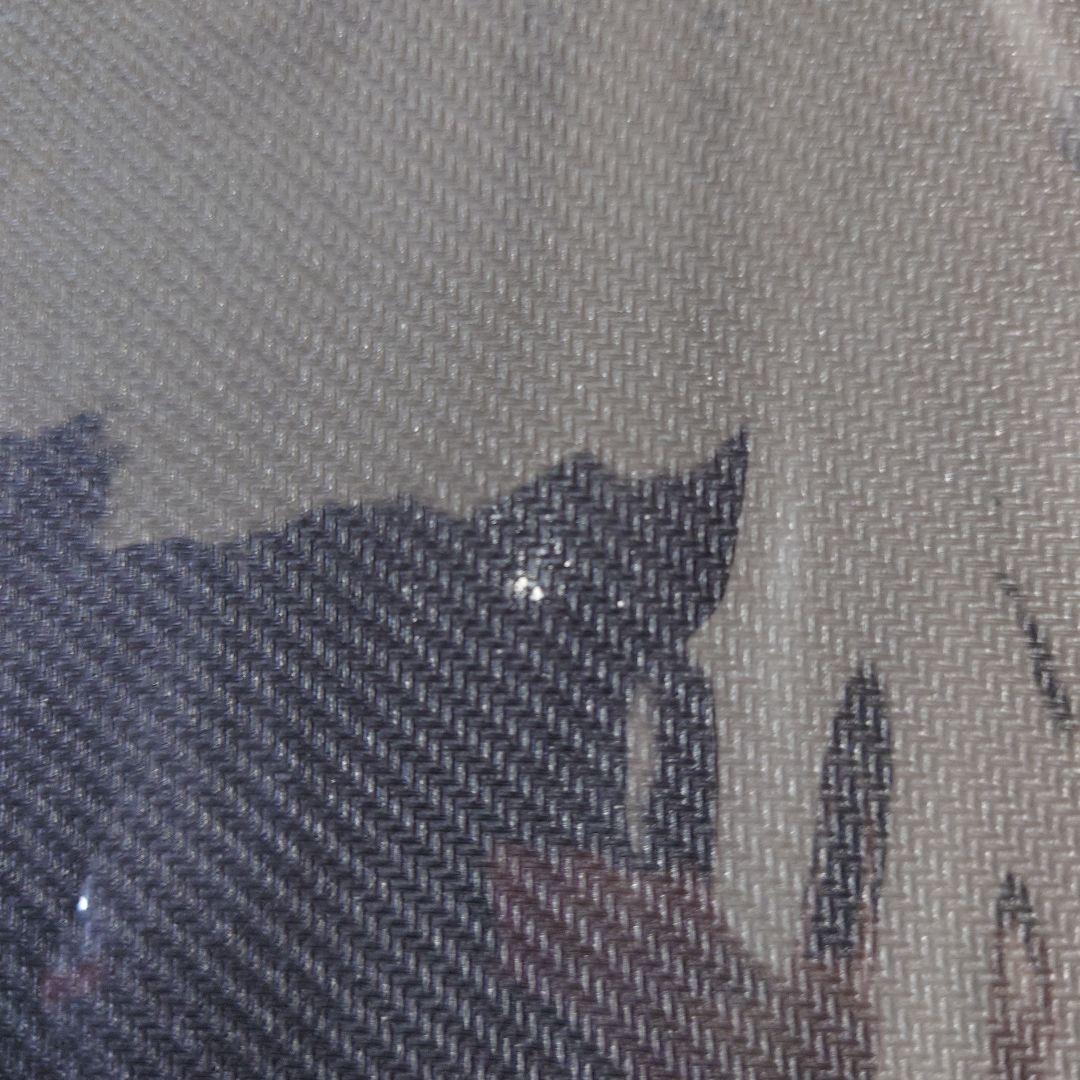 放浪皇のお花見キャンペーン 放浪皇プレイマット