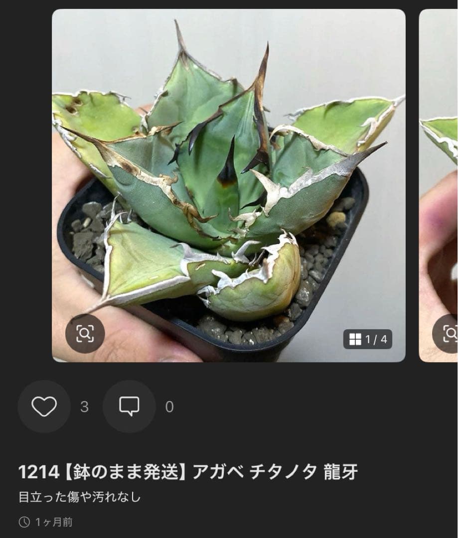 どんどん2128 2103 1214 2129 0000ハデス追加