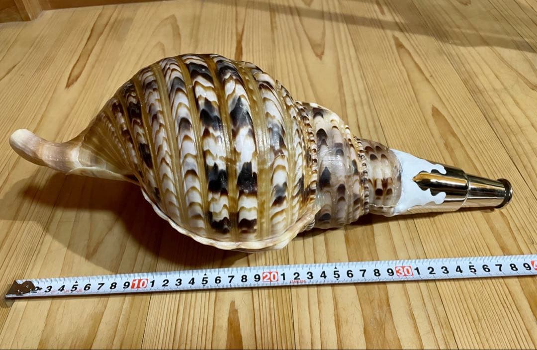 大型修験道法螺貝 山伏 密教 魔除け 熊よけ❣️ほら貝 ホ