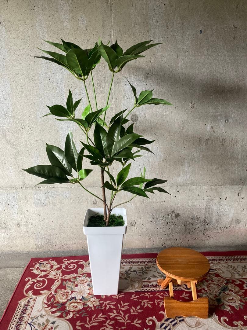 光触媒　人工観葉植物　ウォールグリーン　フェイクグリーン　ツピタンサス11