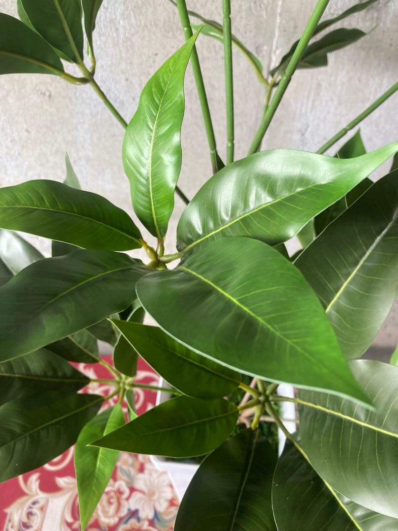 光触媒　人工観葉植物　ウォールグリーン　フェイクグリーン　ツピタンサス11