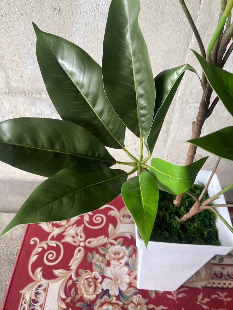 光触媒　人工観葉植物　ウォールグリーン　フェイクグリーン　ツピタンサス11