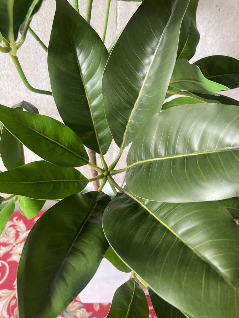 光触媒　人工観葉植物　ウォールグリーン　フェイクグリーン　ツピタンサス11