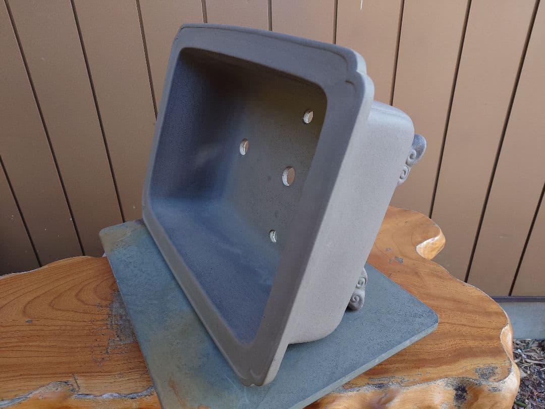 盆栽　鉢　佳山　幅48.5cm