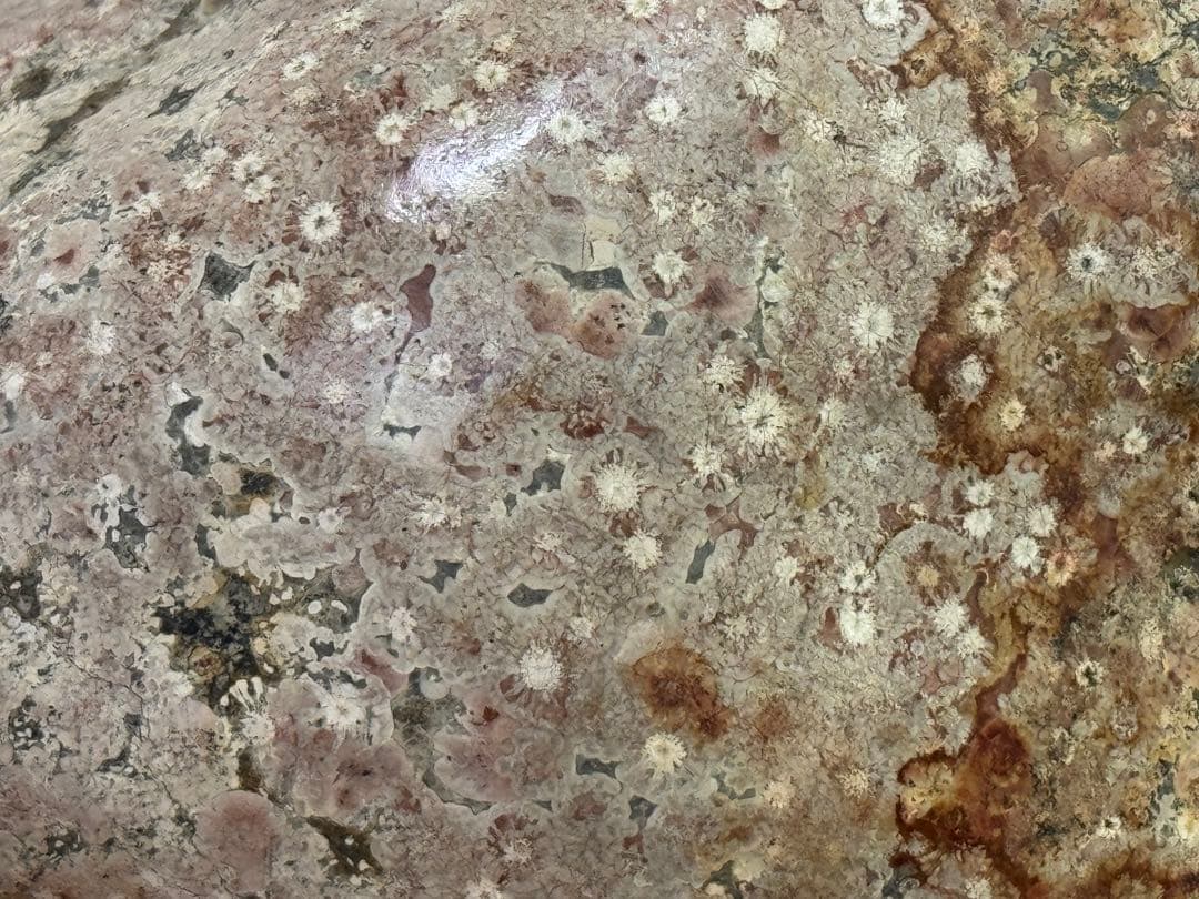 希少 飛弾梅花石 菊花石 梅花石 球果流紋岩 天然石 水石 鉱石 木製台座付き