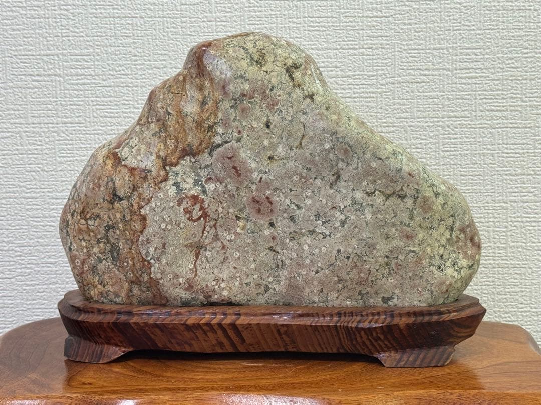 希少 飛弾梅花石 菊花石 梅花石 球果流紋岩 天然石 水石 鉱石 木製台座付き