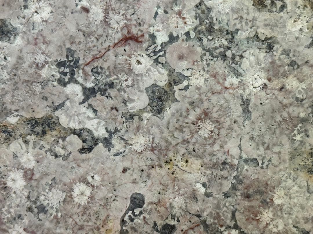 希少 飛弾梅花石 菊花石 梅花石 球果流紋岩 天然石 水石 鉱石 木製台座付き