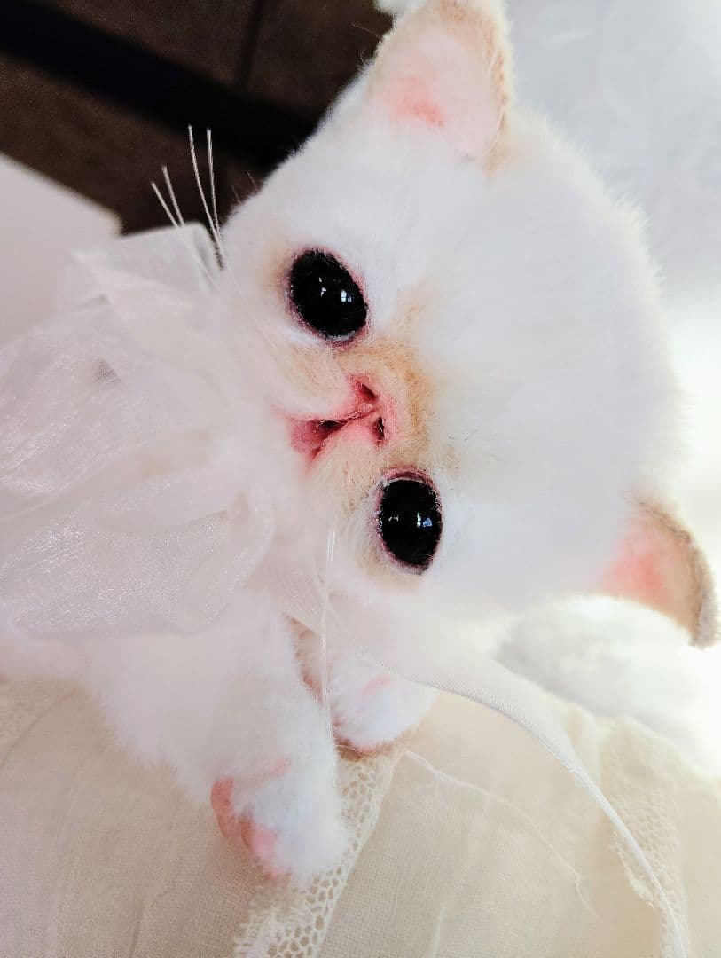 エキゾチック子猫ちゃん♡くりりんオメメ♡アートドール♡ぬいぐるみ♡