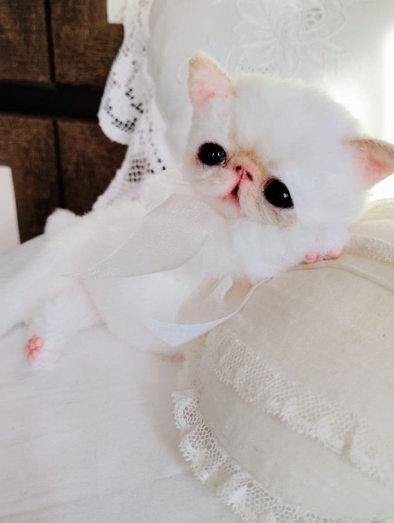 エキゾチック子猫ちゃん♡くりりんオメメ♡アートドール♡ぬいぐるみ♡