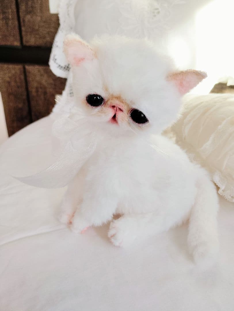 エキゾチック子猫ちゃん♡くりりんオメメ♡アートドール♡ぬいぐるみ♡