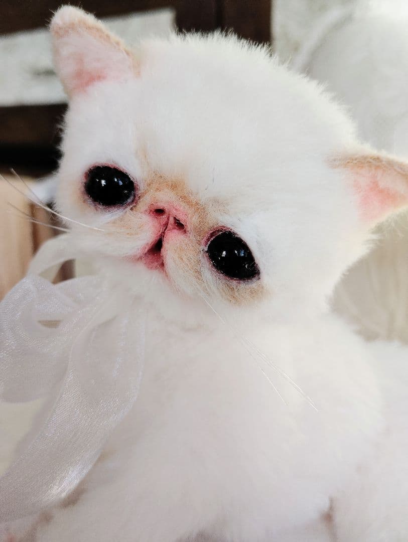 エキゾチック子猫ちゃん♡くりりんオメメ♡アートドール♡ぬいぐるみ♡