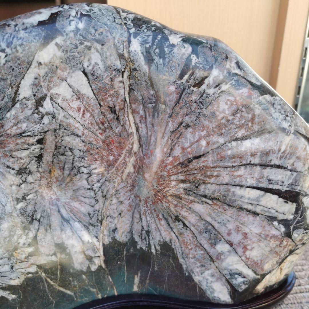 根尾谷産　菊花石　11.2キロ　鑑賞石　石　置物　オブジェ　インテリア　盆石