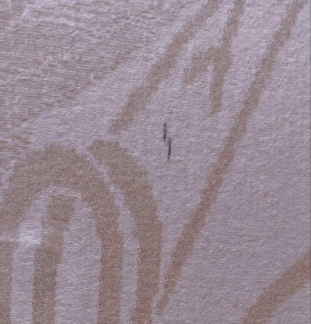 リトグラフ　山口藍　サイン入　版画集 歌木立23/40