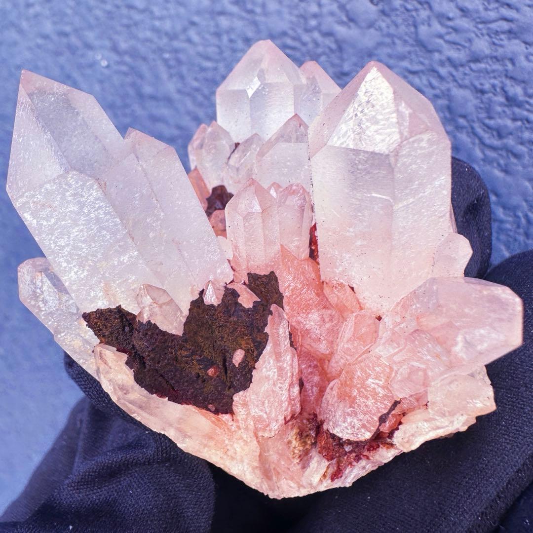 爆アレ❗️可愛いピンク♡超綺麗マダガスカル産パイナップルピンククラスターA1468