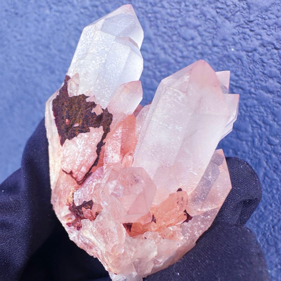 爆アレ❗️可愛いピンク♡超綺麗マダガスカル産パイナップルピンククラスターA1468