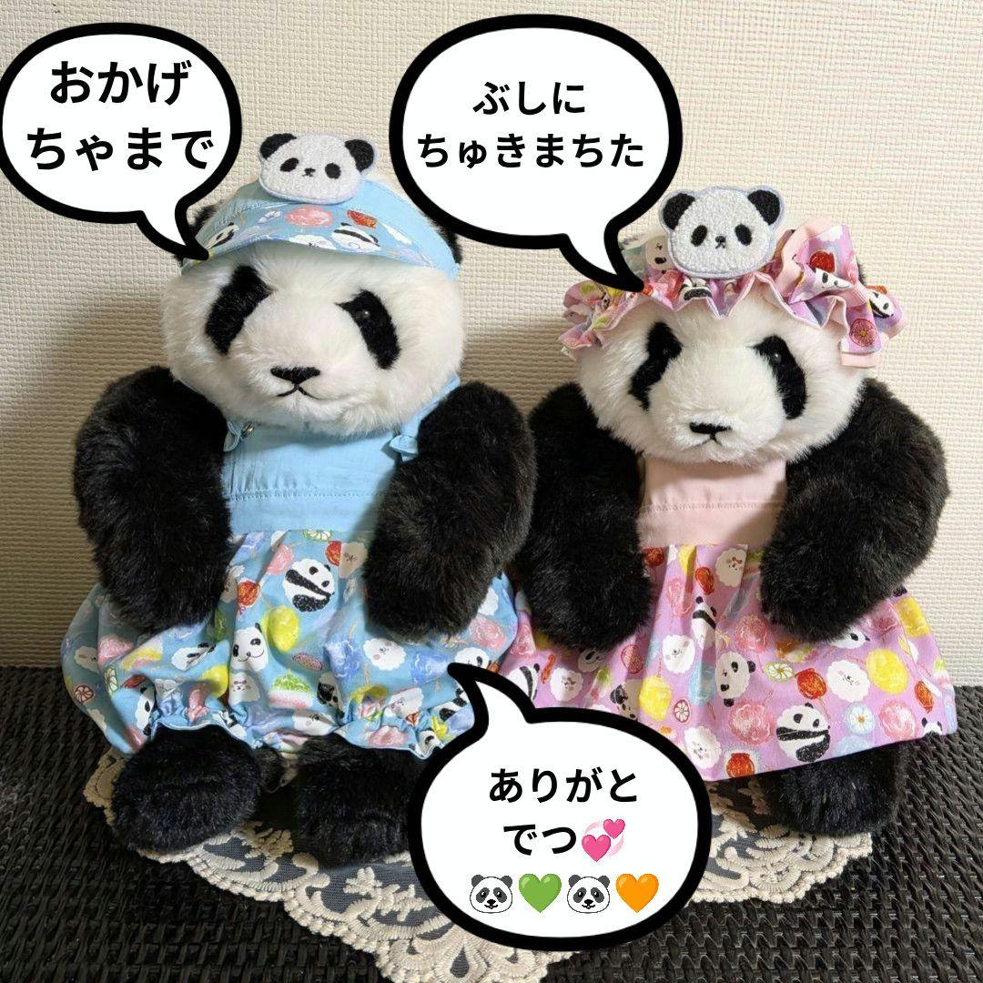 さくらシャンちゃん専用♡シャオシャオ♡レイレイ♡応援コスチューム