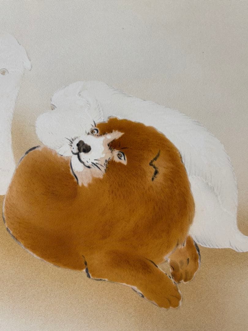 仔犬図 犬 掛け軸 掛軸 茶掛 茶道具 無地箱 合箱あり