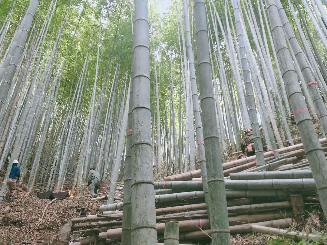 60Lがら袋入り竹炭16袋(約1000L)　大阪産 直接引き取り価格 近場配送可