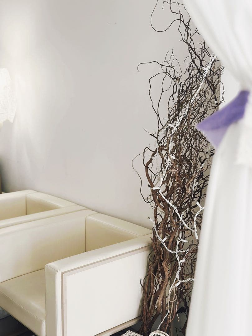 カッシーナ・イクスシーの 1P アームソファを2個セットでお願いします。