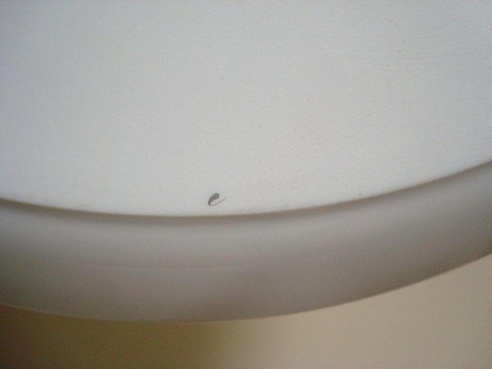 エルメス　プレート　 \"LA SIESTA HERMES\" 　31.5cm