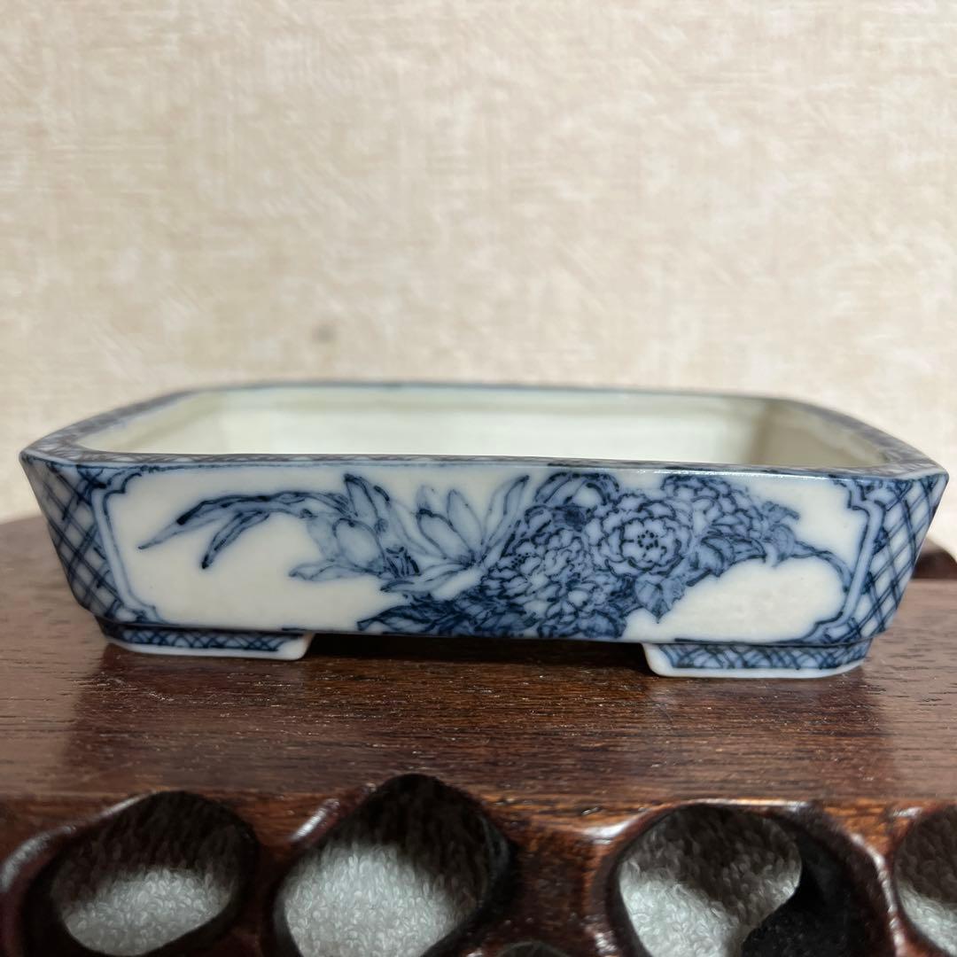 盆栽鉢　初期はるよし　春嘉