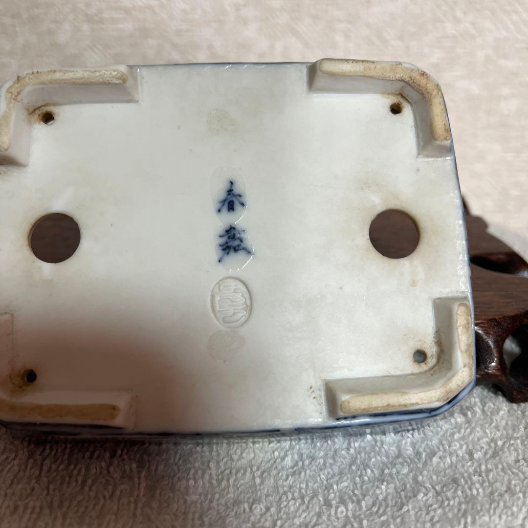 盆栽鉢　初期はるよし　春嘉