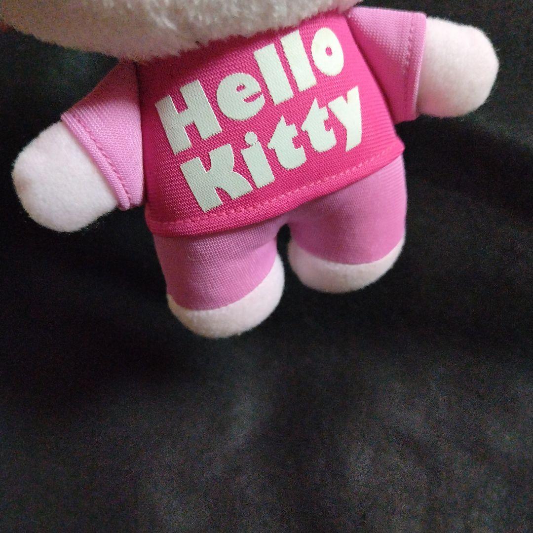 非売品 サンリオスマイル ハローキティ ピンク ぬいぐるみ フラワー