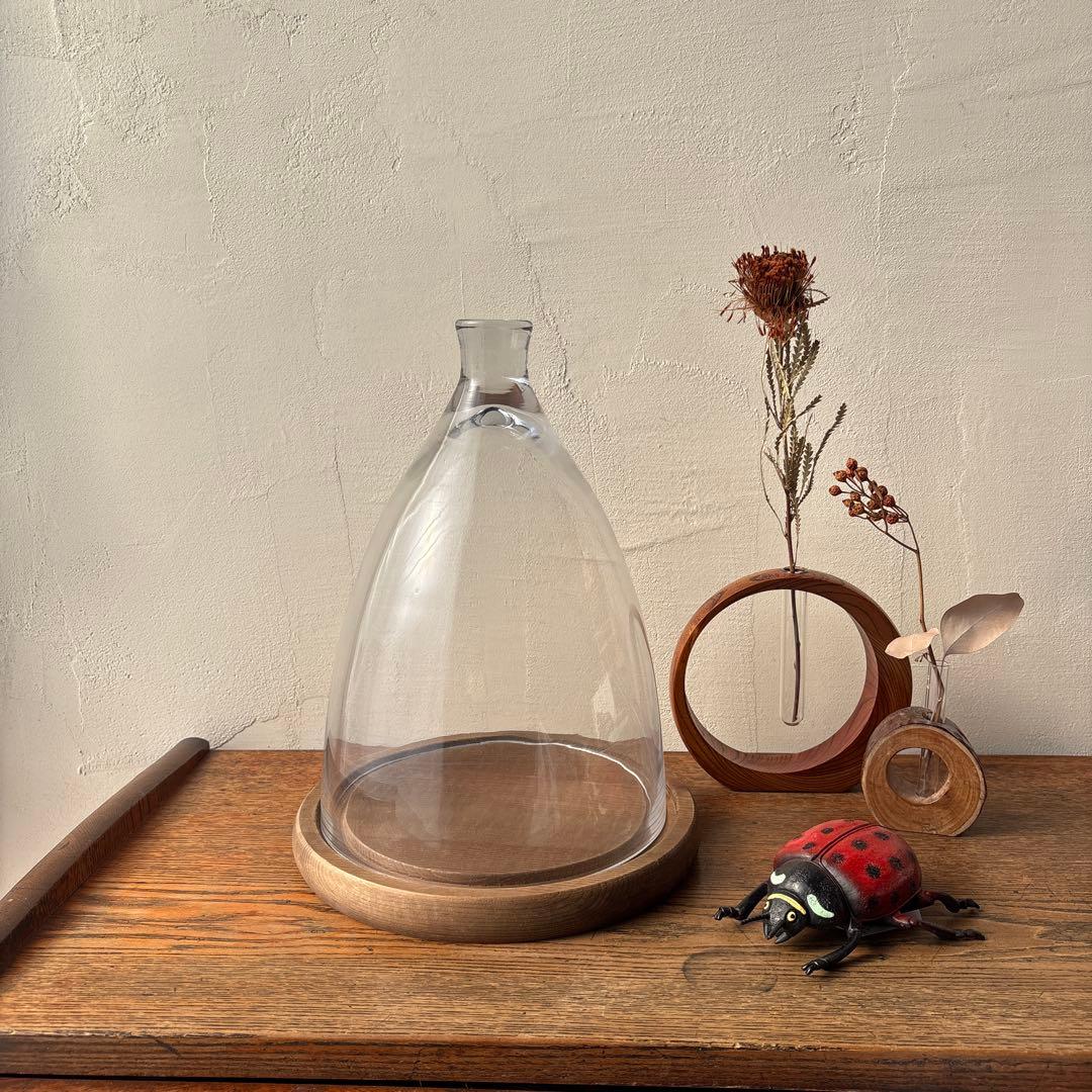 ダルトン ガラスドーム ガラスクローシュ 木製台座 ディスプレイ