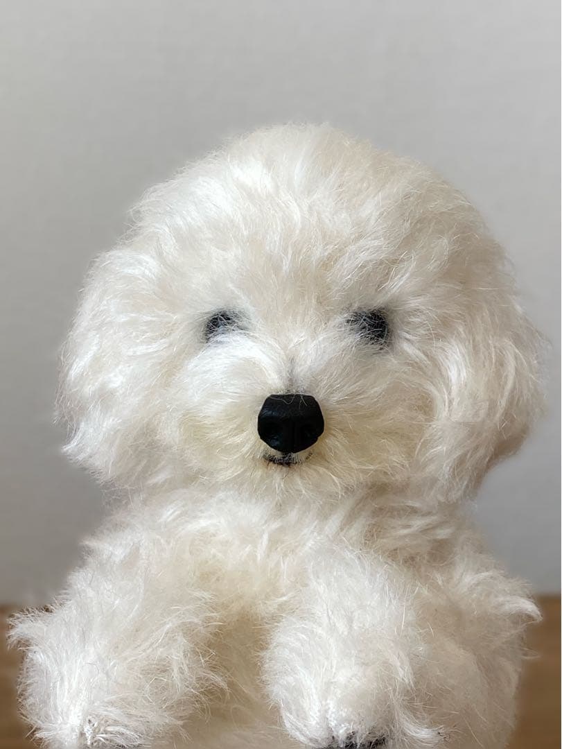 こちらは専用です