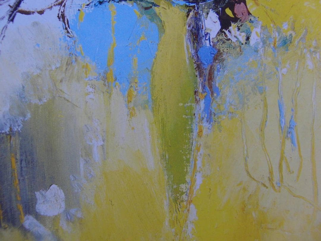 板垣千鶴子、【夢の続き】、希少な額装用画集より、厳選、新品額装