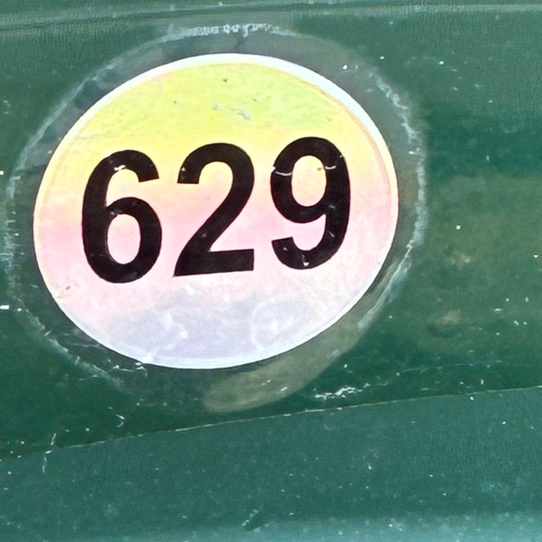 s*い様 ☘️レア超大株☘️6号ロング❤️沢山新芽❤️ ☘️超レア☘️629【A