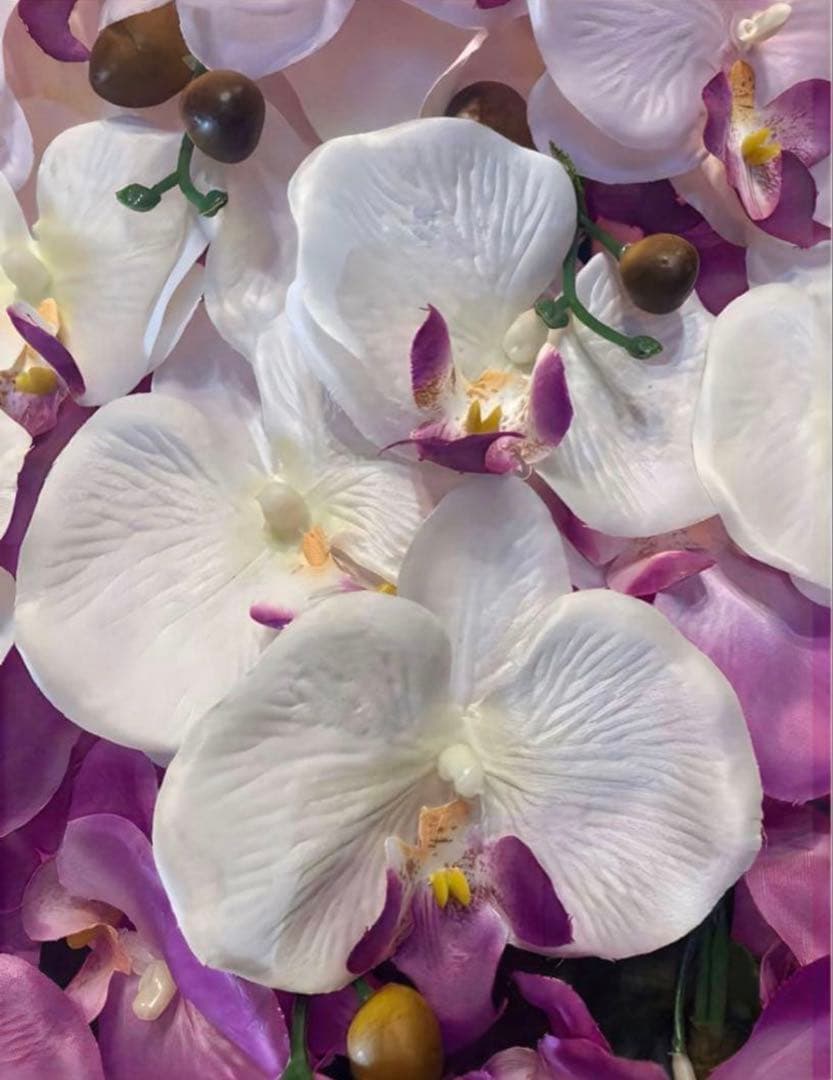 光触媒　人工観葉植物　ウォールグリーン　フェイクグリーン　胡蝶蘭8250tp