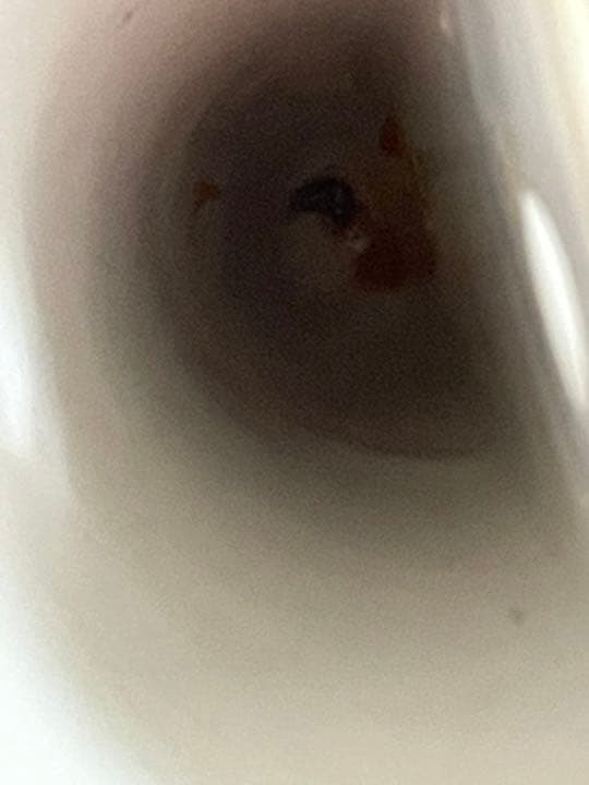 オールドノリタケ　壁掛け花生