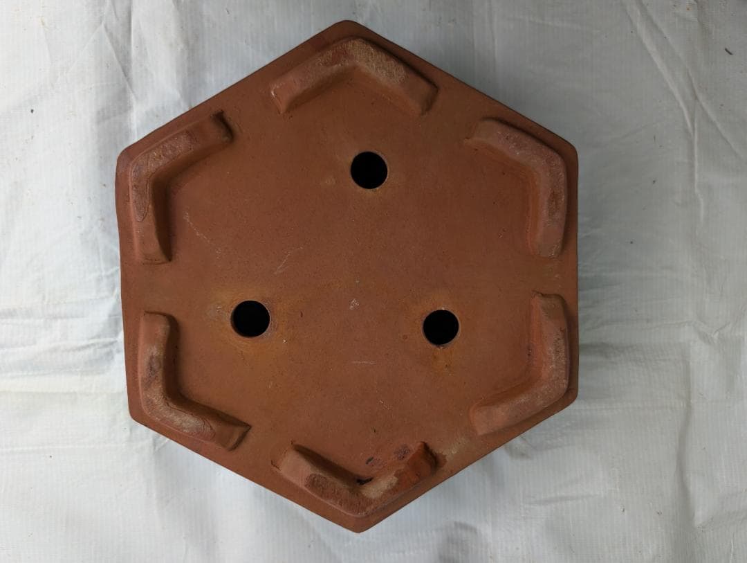 盆栽鉢 六角鉢 外寸30×33.5cm 高さ11.5cm 中国鉢 朱泥