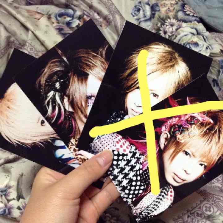 カメレオ ダメ男ゴメンナサイ フォト