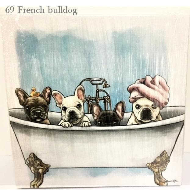 Oliver Gal -オリバーガル - OG66 67 69 70 73-3