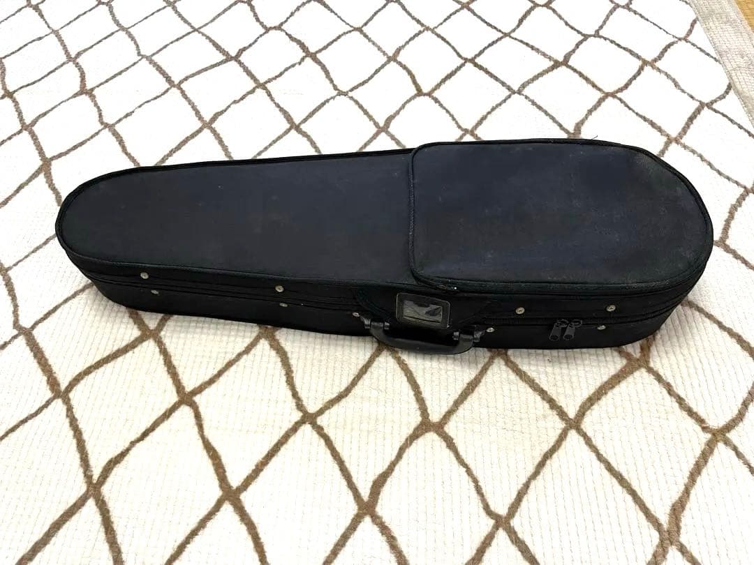 新春価格！【KIKUTANI】エレクトリックバイオリン ESV-380