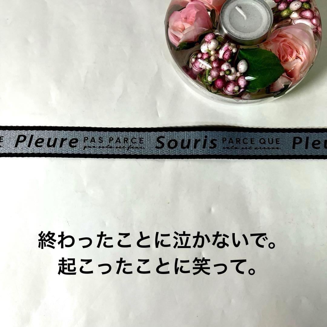 秀　エコバッグ　オリーブ柄&猫のクッキー缶柄　2点 ハンドメイド