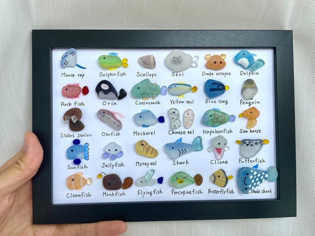 シーグラスアート☆No.399 図鑑　海の生き物　ギフト　プレゼント インテリア